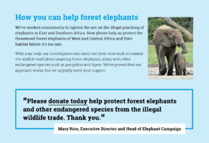 Web content about the forest elephant campaign by the Environmental Investigation Agency