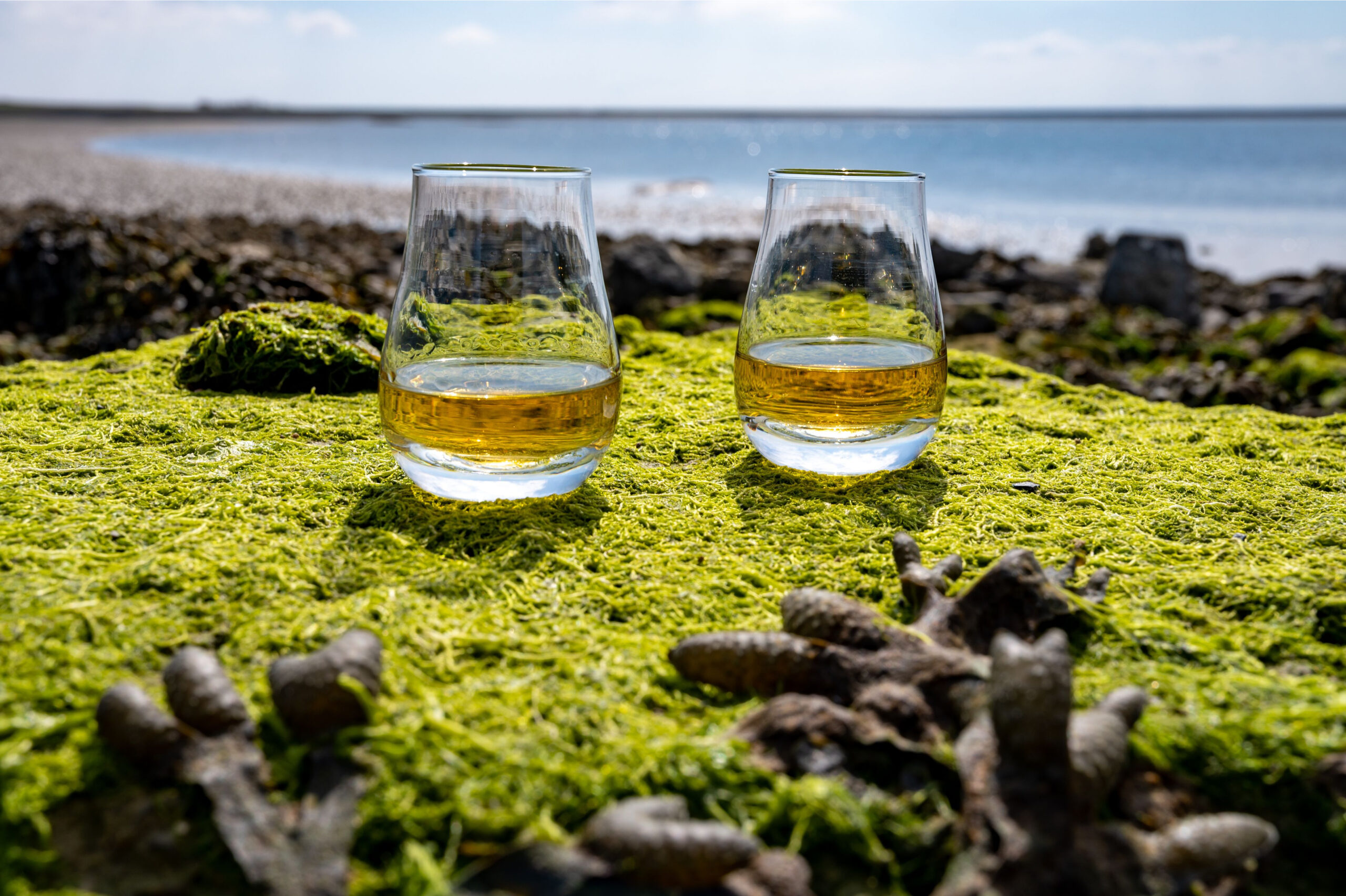 Two Glencairn glasses of whisky